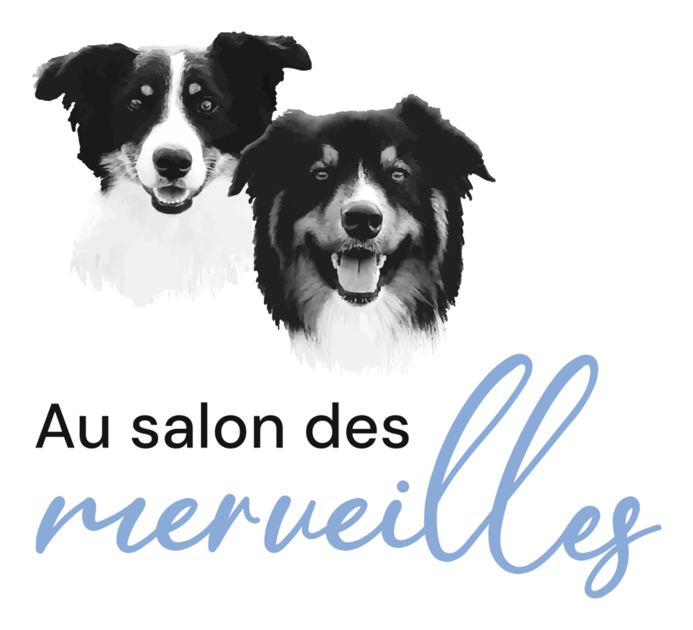 Au salon des Merveilles